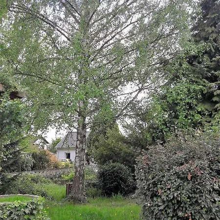 Appartement Business Freiraum *